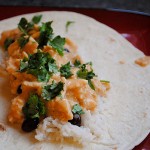 Thumbnail image for Chicken Enchilada Meat in the Crock-pot