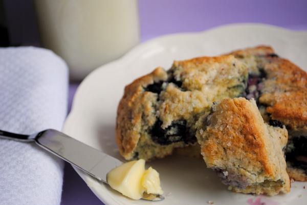 blueberryscone1