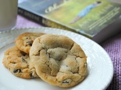 Thumbnail image for Book Review, Chocolate Chip Cookies & Blog Awards