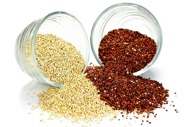 Red and white quinoa grain in glass bowls on white background