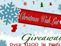 Thumbnail image for “Christmas Wish List” 2012 Give Away for YOU!