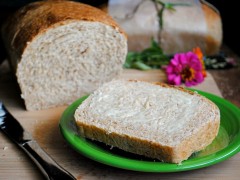 Thumbnail image for Nauvoo Wheat Bread