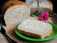 Thumbnail image for Nauvoo Wheat Bread