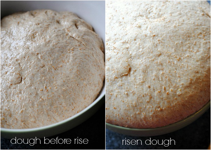 homemade wheat dough | you-made-that.com