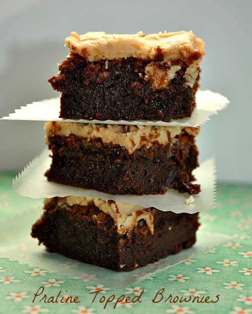 Praline topped brownies |www.you-made-that.com