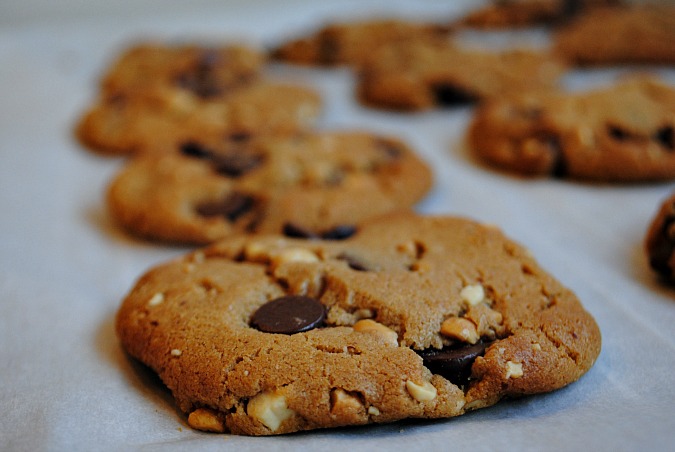 Gluten free peanut-butter chocolate chip cookies|www.you-made-that.com