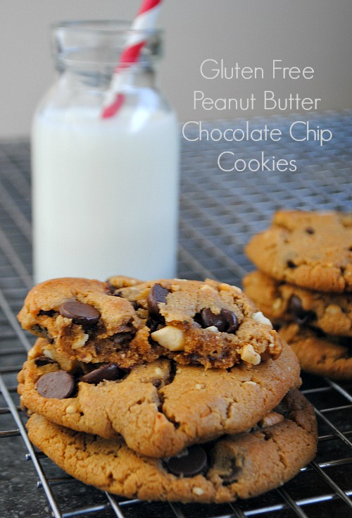 gluten free pb chocolate chip cookies|www.you-made-that.com