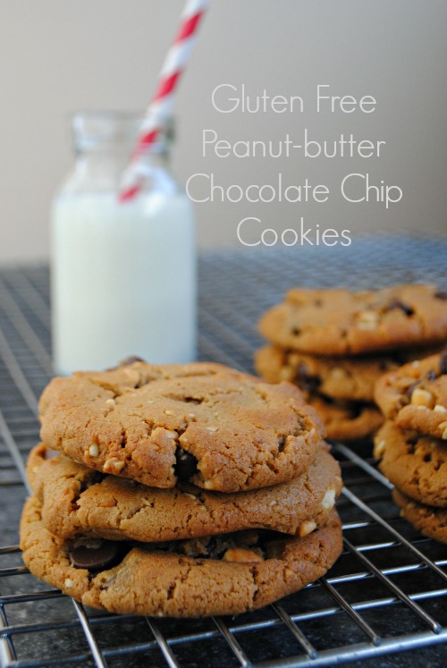 Gluten free peanut-butter chocolate chip cookies|www.you-made-that.com