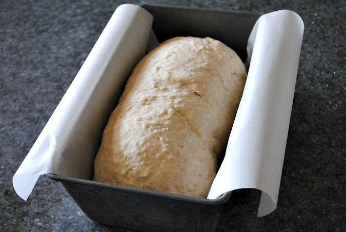 homemade oat bread |www.you-made-that.com