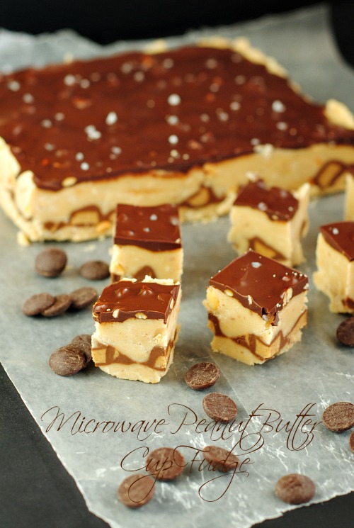 Microwave Peanut Butter Cup Fudge you-made-that.com