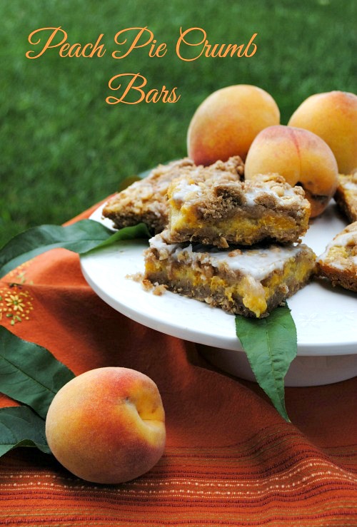 Peach Pie Crumb Bars | you-made-that.com