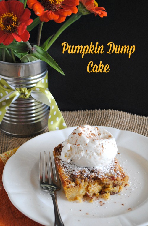 Pumpkin Dump Cake  you-made-that.com