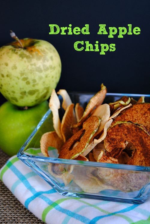 Dried Apple Chips | you-made-that.com