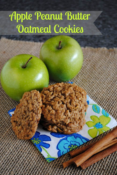 Apple Peanut Butter Oatmeal Cookies | you-made-that.com