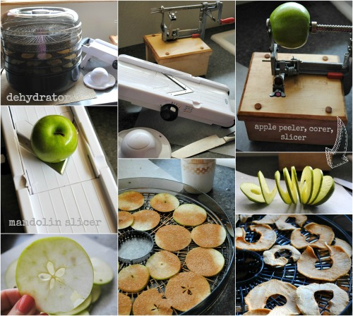 apple slicing,dehydrating collage |you-made-that.com