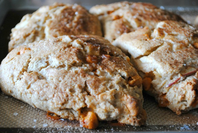 Apple scones with butterscotch chips |  you-made-that.com