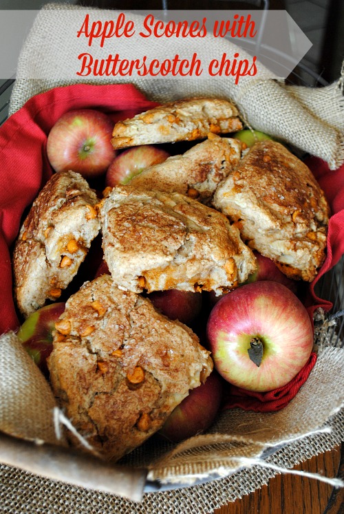 Apple scones with butterscotch chips |you-made-that.com