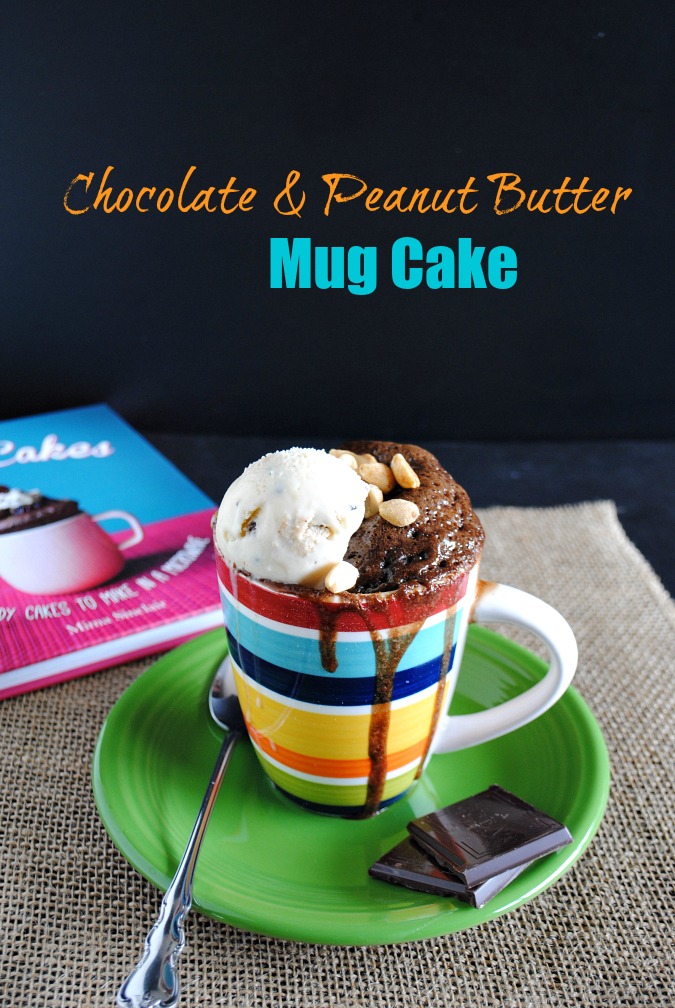 Chocolate & Peanut Butter Mug Cake |you-made-that.com