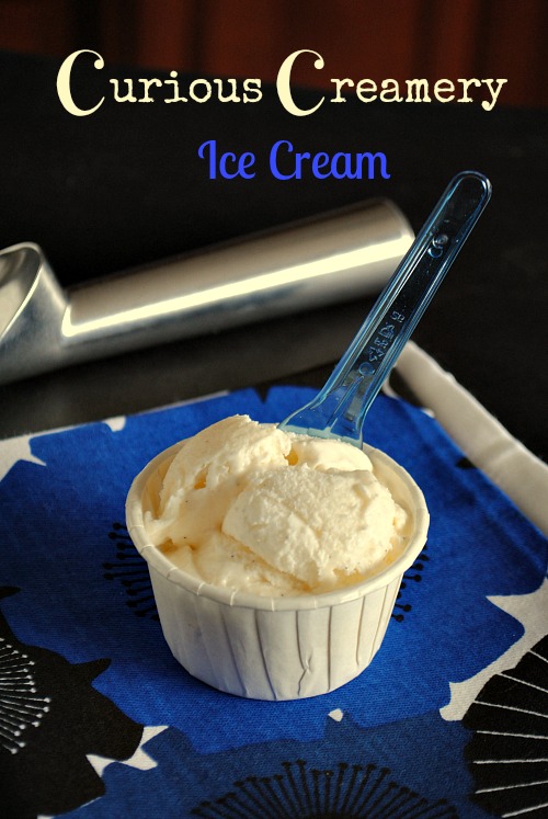 Curious Creamery Ice Cream | you-made-that.com